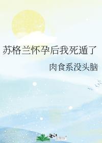 苏格兰出局