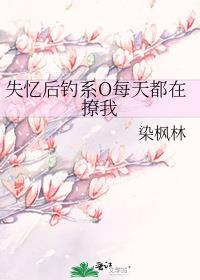 失忆后钓系o每天都在撩我302章