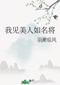 我见美人如名将by羽漱临风讲的什么
