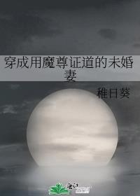 穿成用魔尊证道的未婚妻稚日葵免费读