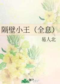 隔壁小王(全息)by易人北Txt