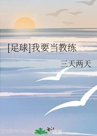 我想当一名足球教练作文