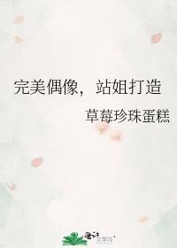 完美偶像mv