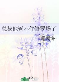 总裁他偏不听全文免费阅读