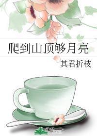 爬到山顶够月亮全文免费阅读无防盗