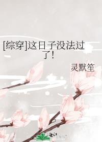 这日子没法过了综