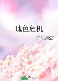 瑰色危机第二十七章