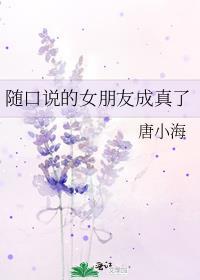 随口说的女朋友成真了唐小海免费