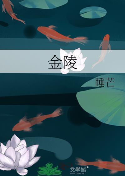 金陵饭店12月17日主力资金净买