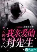 再见亲爱的封先生txt