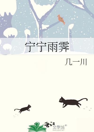 宁宁雨霁男主有个儿子吗