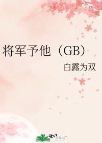 将军予他GB