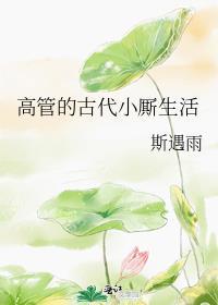 高管的古代小厮生活无防盗全文阅读