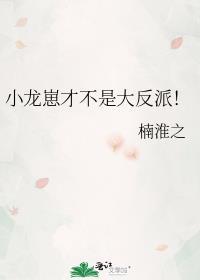 小龙崽才不是大反派_楠淮之