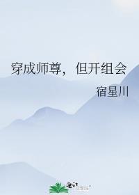 穿成师尊但开组会大米
