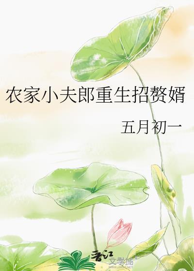 农家小夫郎重生招赘婿 作者本书五月初一