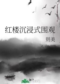 红楼沉浸式围观书评