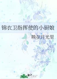锦衣卫与小厨娘