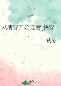清穿从一而终