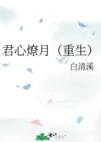 君心燎月(重生)晋江