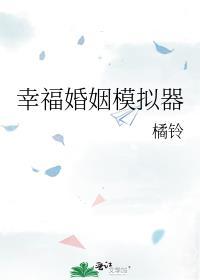 幸福婚姻模拟器TXT百度