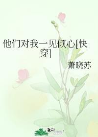 他们都对我又争又抢阅读