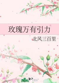 玫瑰万有引力北风三百里笔趣阁