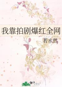晚光摇曳结局