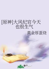 原神大风纪官今天也很生气