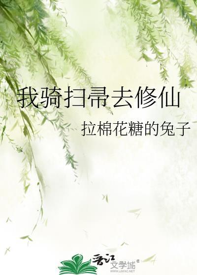 我骑扫帚去修仙 番外