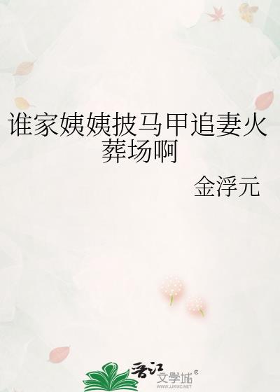 谁家姨姨披马甲追妻火葬场啊全文