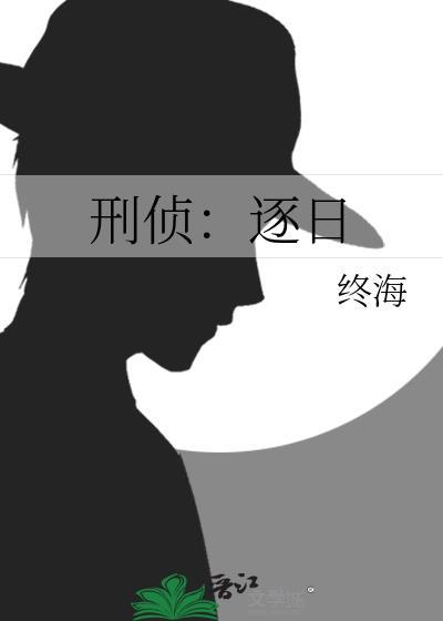 刑侦日记原著