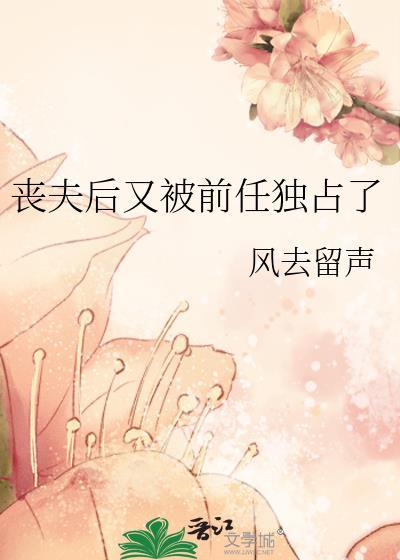 丧夫后又被前任独占了晋江
