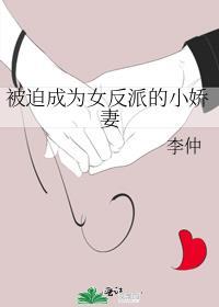 喵喵接单