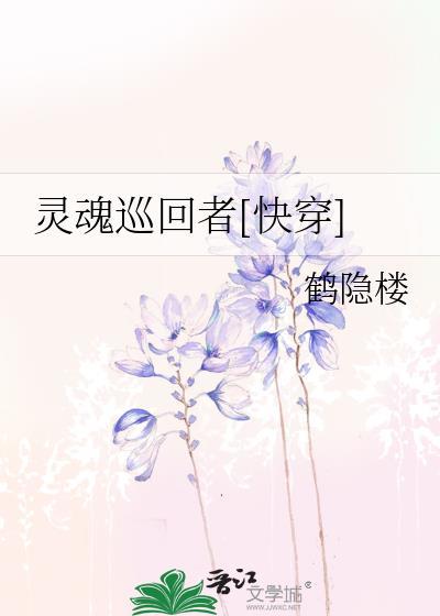 灵魂巡回者[快穿