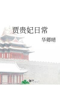 红楼梦中贵妃娘娘和贾府是什么关系