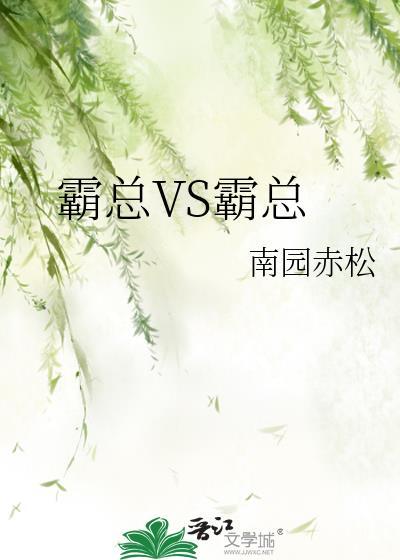 霸总啥意思