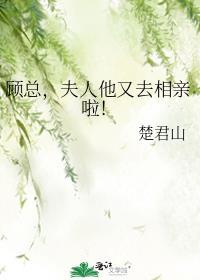 夫人他又去相亲啦! 楚君山剧透