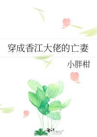 穿成香江大佬的亡妻免费阅读