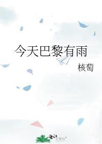 今天巴黎有雨百度