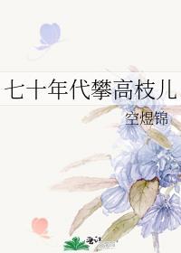 七十年代攀高枝儿作者空煜锦