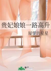 贵妃娘娘一路高升无弹窗阅读