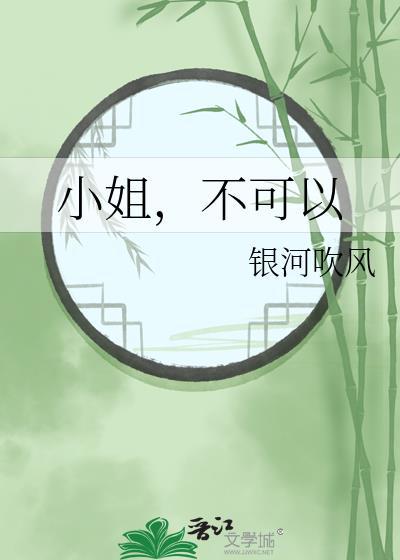 小姐不可以歌词