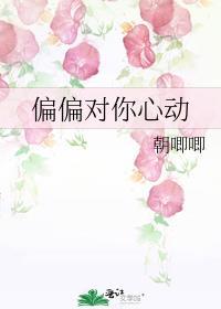 偏偏对她心动免费阅读
