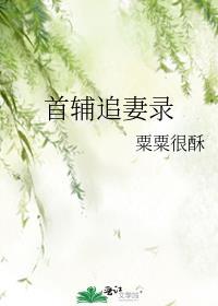 首辅夫人追夫手札笕素