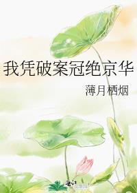 我凭破案冠绝京华TXT云盘