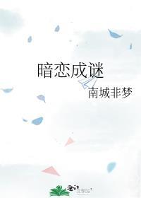 暗恋成谜南城非梦