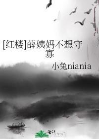 红楼之薛姨妈不好惹