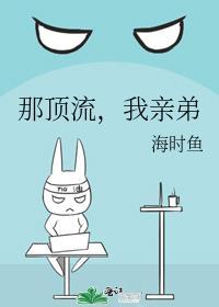 那顶流我亲弟海时鱼免费阅读