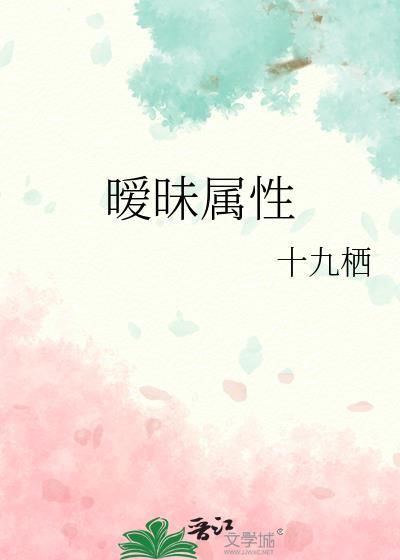 暧昧类型